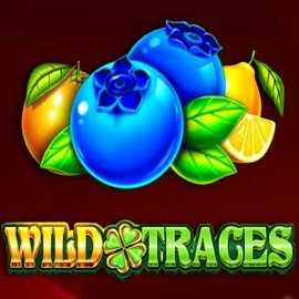 Wild Traces slot icon by Amusnet Interactive, available at Spinshark Casino